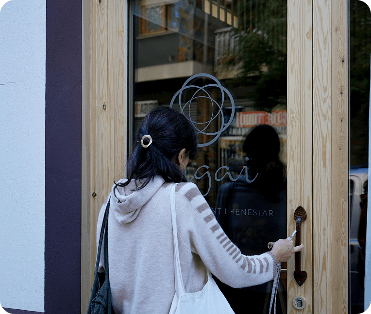 ikigai-la-seu-urgell-3-op