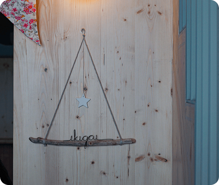 ikigai-la-seu-urgell-op